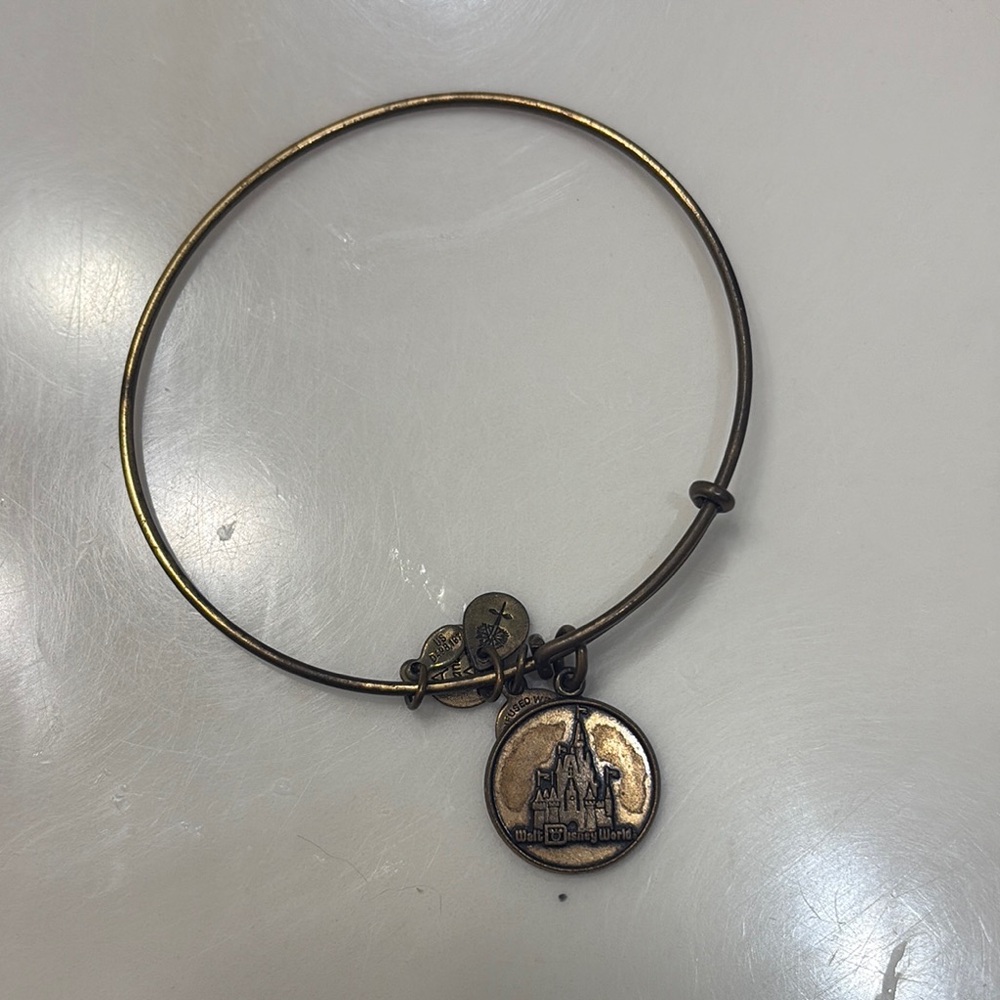 Disney world Alex and ani Gold Charm Bangle Bracelet